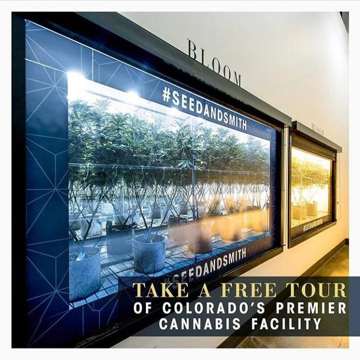 Image for Seed & Smith Cannabis with ID of: 2990294