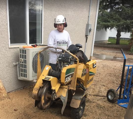 Image for Tuxedo Tree Service with ID of: 2991173