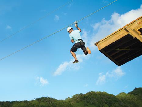 Image for Skyline Eco-Adventures Poipu with ID of: 2991973