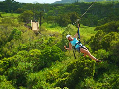 Image for Skyline Eco-Adventures Poipu with ID of: 2991974