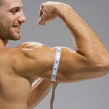 Image for Essential Fitness Tips For Men with ID of: 2994487