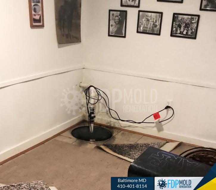 Image for FDP Mold Remediation of Baltimore with ID of: 2995410