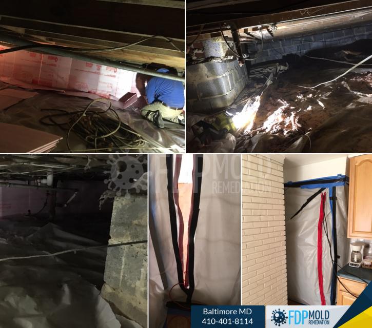 Image for FDP Mold Remediation of Baltimore with ID of: 2995413