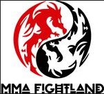 Image for MMA Fight Land with ID of: 2998057