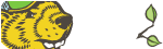 Image for EcoGarden Supply with ID of: 3000394