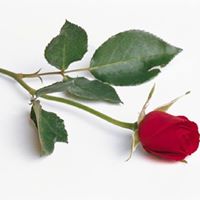 Image for Chenery Funeral Services Ltd with ID of: 3002910