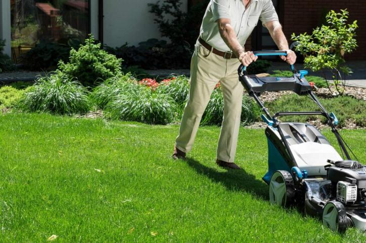 Image for Green Pastures Landscaping LLC with ID of: 3004980