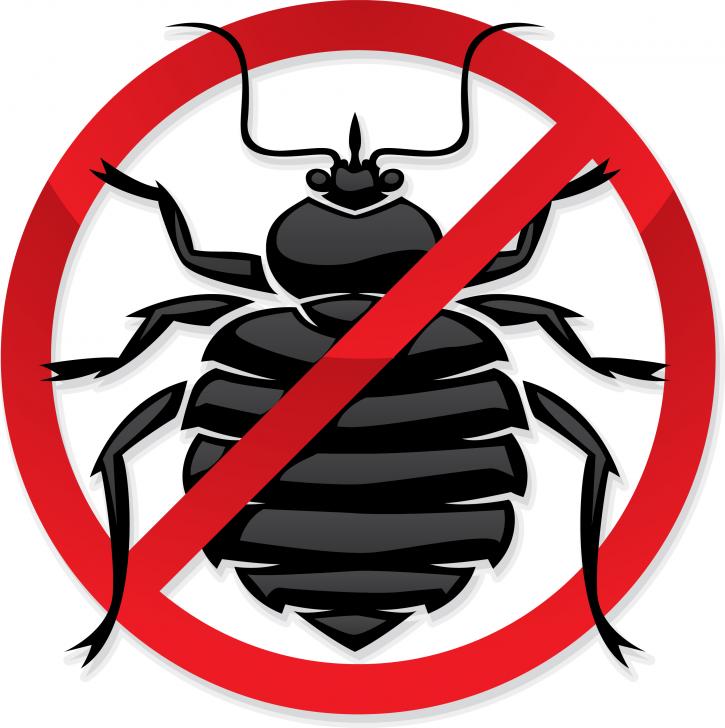 Image for OCP Bee Removal Houston - Bed Bug Exterminator with ID of: 3010366