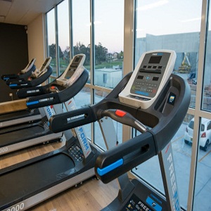 Image for NEX level fitness with ID of: 3012059