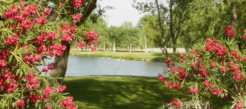 Image for Silver Saddle Ranch & Club with ID of: 3018813