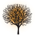 Image for Springtree Media Group with ID of: 3020126
