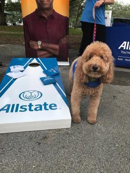 Image for Lisa Faina: Allstate Insurance with ID of: 3021960