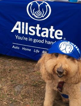 Image for Lisa Faina: Allstate Insurance with ID of: 3021967