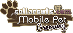 Image for Collar Cuts Mobile Pet Grooming with ID of: 3023458