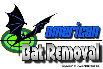 Image for American Bat Removal with ID of: 3024336