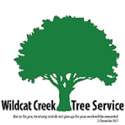 Image for Wildcat Creek Tree Service with ID of: 3024707