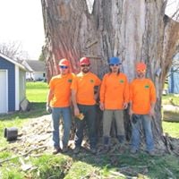 Image for Wildcat Creek Tree Service with ID of: 3024717