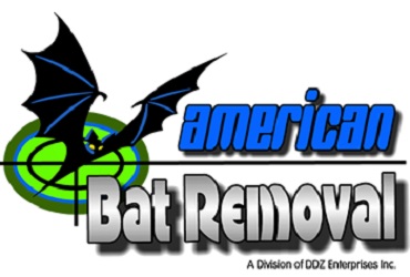 Image for American Bat Removal with ID of: 3026440