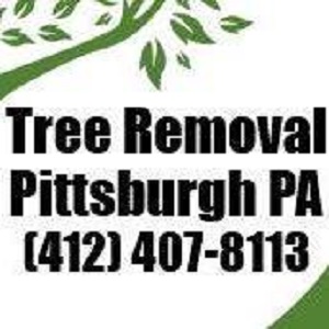Image for Tree Removal Pittsburgh PA with ID of: 3027108
