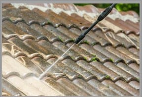 Image for Provo Pressure Washing with ID of: 3029039