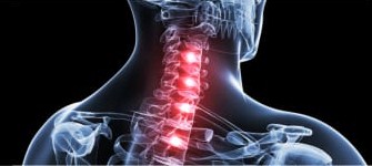 Image for Botha Chiropractic with ID of: 3029941