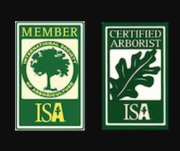 Image for Trinity Tree Service Baton Rouge with ID of: 3030733