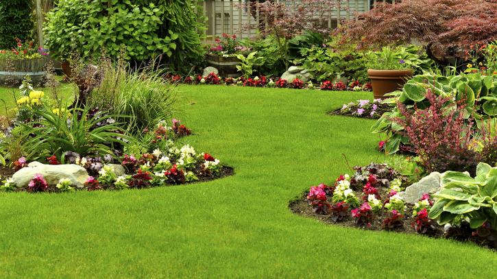 Image for Eagle Gardening Service with ID of: 3031094