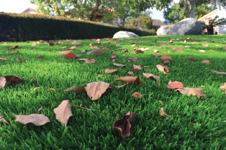 Image for Artificial Grass Redondo Beach with ID of: 3031947