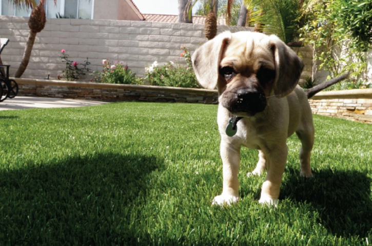 Image for Artificial Grass Redondo Beach with ID of: 3031950