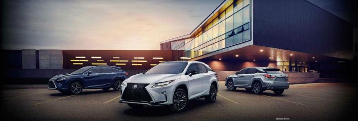 Image for Reinhardt Lexus with ID of: 3034349