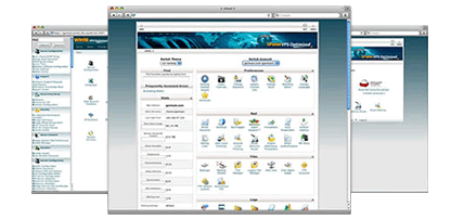 Image for Buy Web Hosting with ID of: 3036656