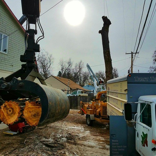 Image for Arbortec Tree Service with ID of: 3037634