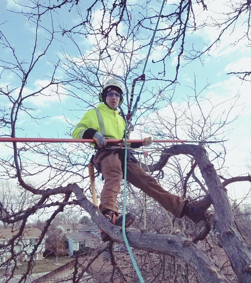 Image for Arbortec Tree Service with ID of: 3037642