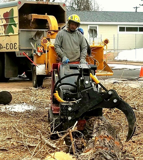 Image for Arbortec Tree Service with ID of: 3037644