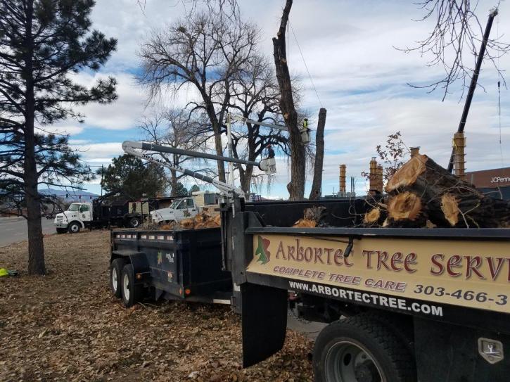 Image for Arbortec Tree Service with ID of: 3037652