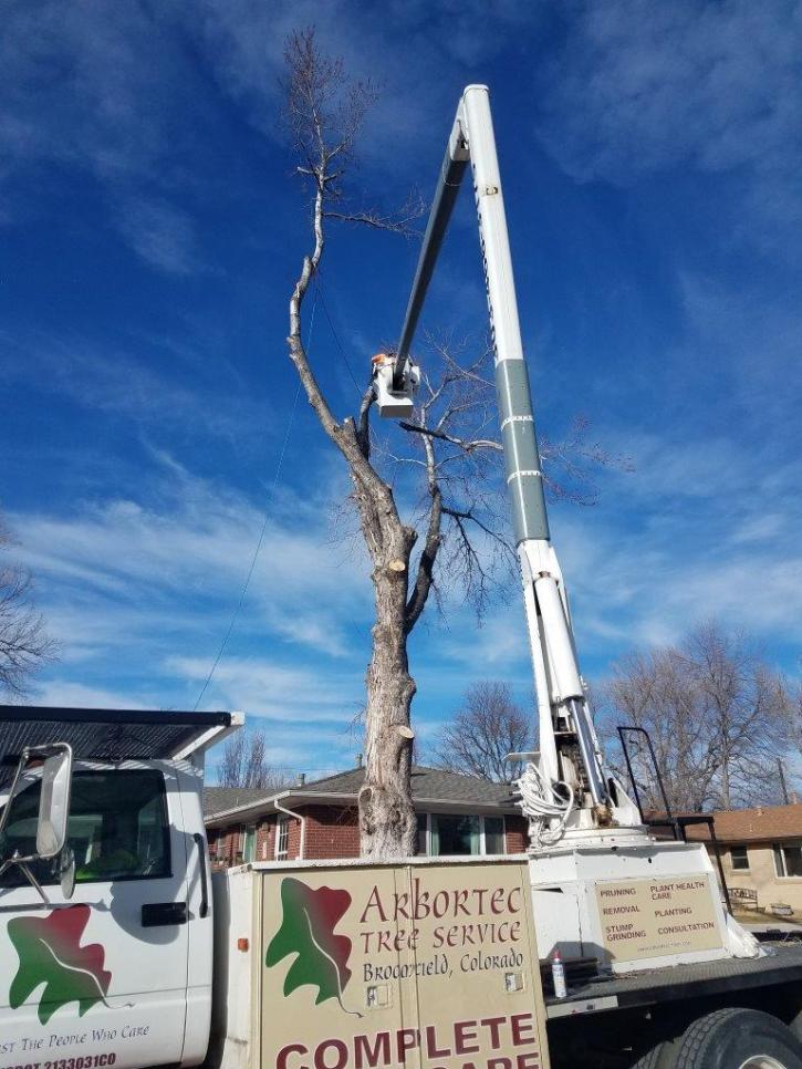 Image for Arbortec Tree Service with ID of: 3037661