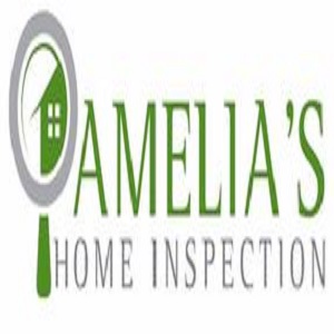 Image for Amelia's Home Inspection Racine with ID of: 3039263