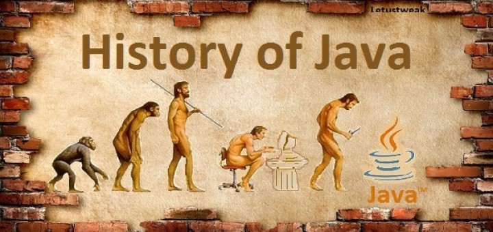 Image for Learn about History of Java programming language with ID of: 3039377