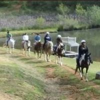 Image for Cedar Creek Stables with ID of: 3040024