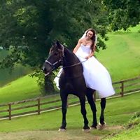 Image for Cedar Creek Stables with ID of: 3040055