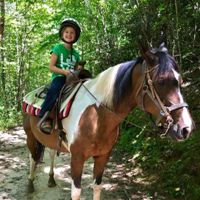 Image for Cedar Creek Stables with ID of: 3040076