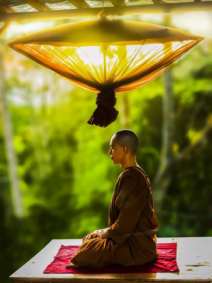 Image for Georgia Free Psychic Reading with ID of: 3040976