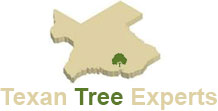 Image for Texan Tree Experts with ID of: 3041675