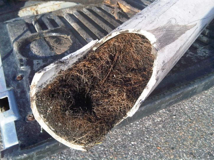 Image for Find Drain repair toronto with ID of: 3042200