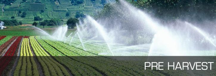 Image for Ecozen Solutions with ID of: 3043513