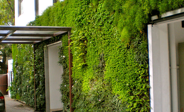 Image for Get Eco House Design in Delhi with ID of: 3043960