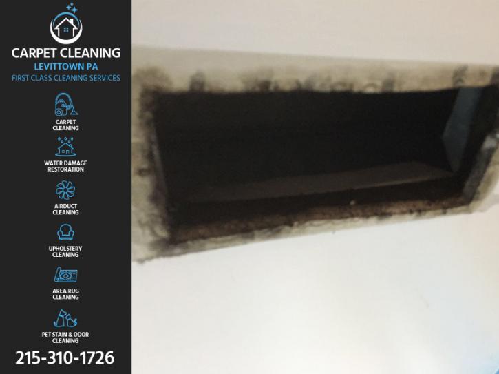 Image for Carpet Cleaning Levittown PA with ID of: 3044133