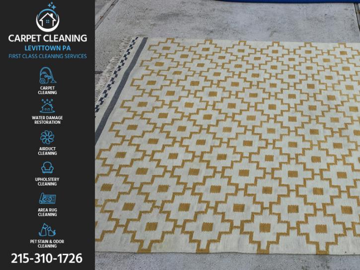 Image for Carpet Cleaning Levittown PA with ID of: 3044138