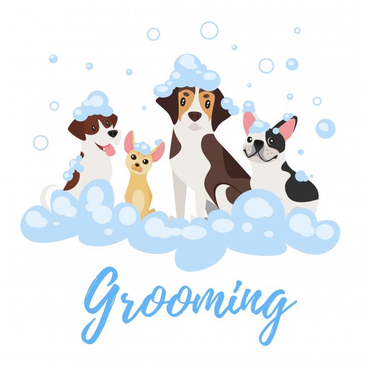 Image for Four On The Floor Grooming 2 with ID of: 3047509