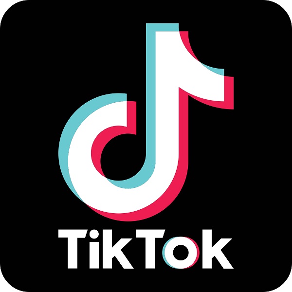 Download Tik Tok Video Without Watermark Online Internet Advertising Imperial Beach Ca